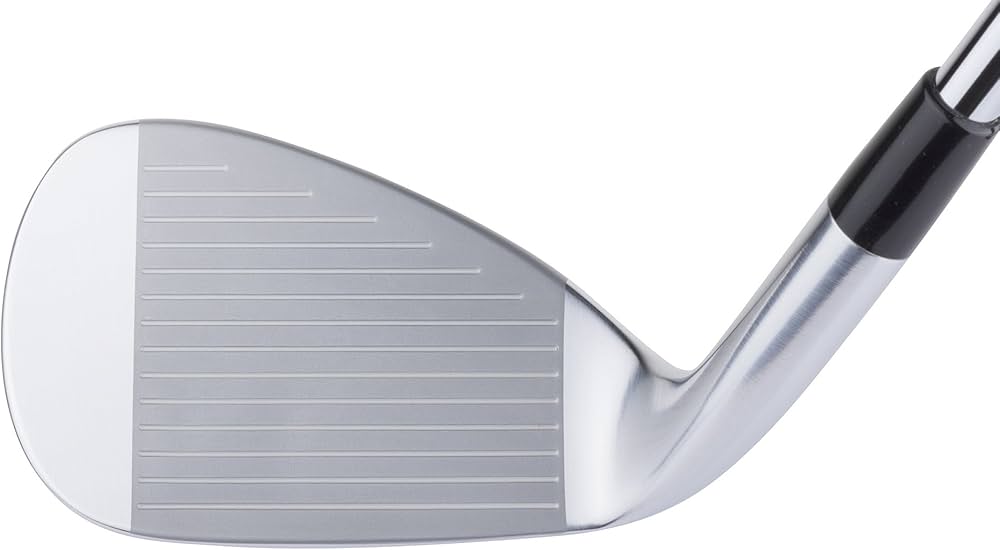 Amazon.co.jp: MIZUNO(ミズノ) クラブセット JPX900 フォージド