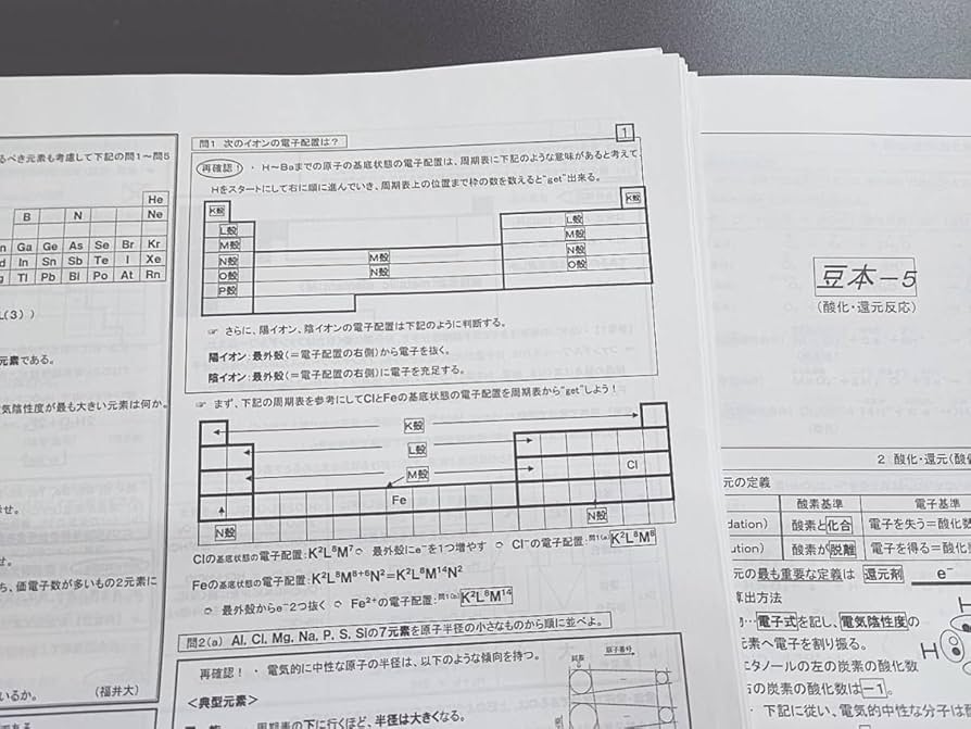 駿台 物理・化学難問演習プリント 2023年版 駿台 物理・化学難問演習