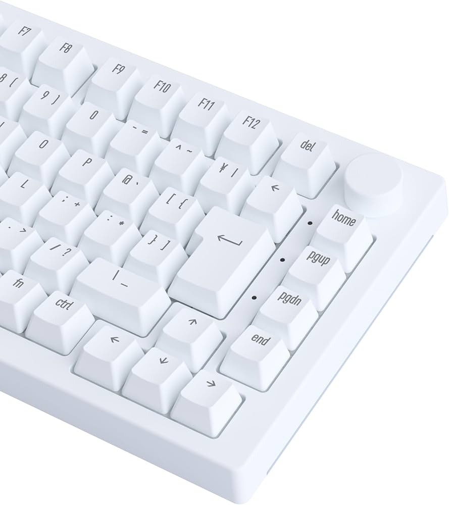 Amazon | 【国内正規品】Akko(アッコ) ラピッドトリガー 8000Hz