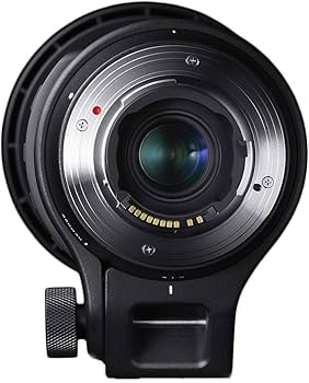 Amazon.co.jp: シグマ(Sigma) レンズ 150-600mm F5-6.3 DG OS HSM