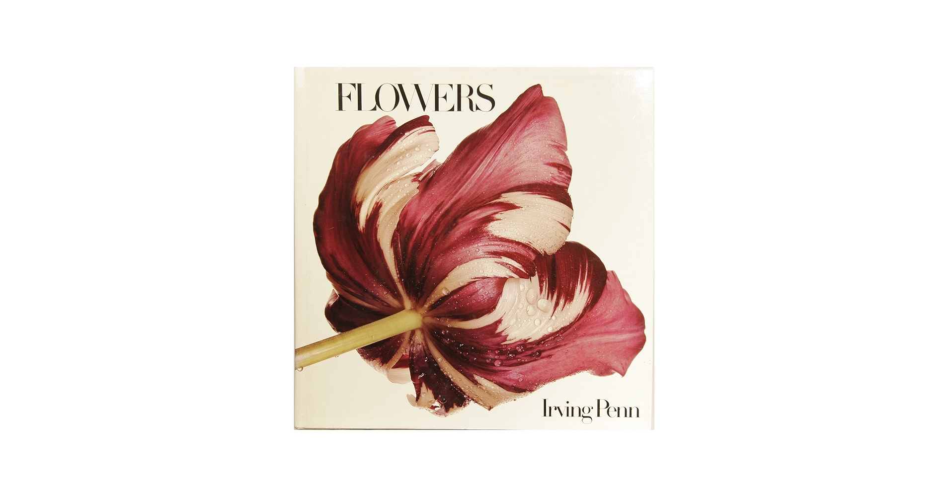 Flowers: Penn, Irving: 9780224018944: Amazon.com: Books