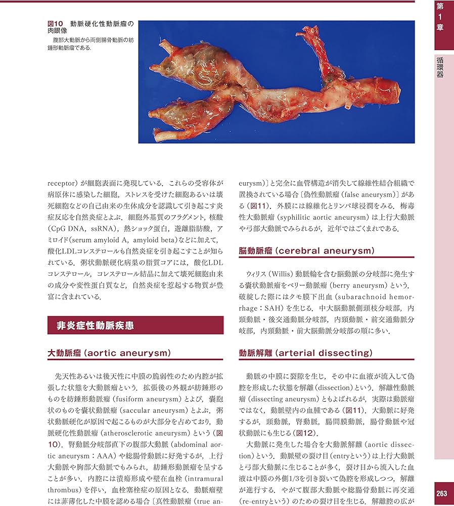 解明 病理学 第3版 病気のメカニズムを解く | 青笹克之, 加藤光保