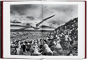 Amazon | Sebastião Salgado. Genesis | Salgado, Sebastiao, Salgado