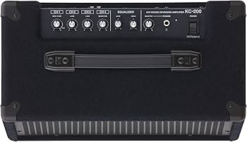 Amazon.co.jp: Roland ローランド/KC-200 キーボードアンプ : 楽器