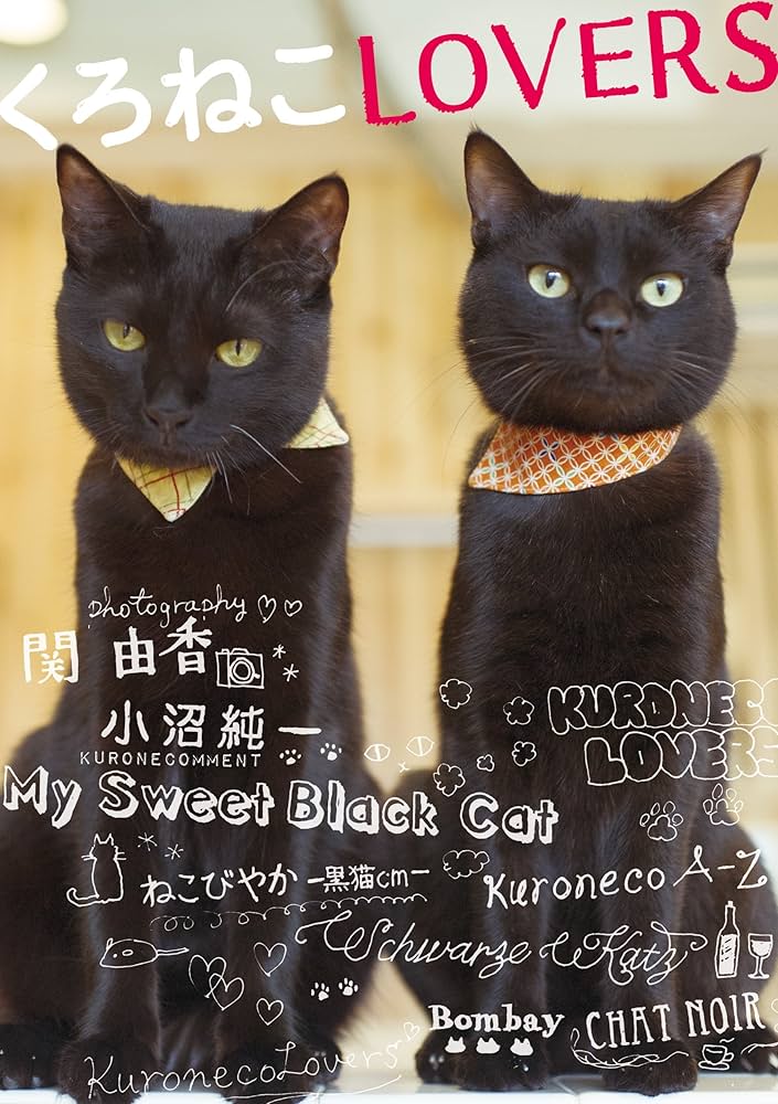 くろねこLOVERS ((ねこMOOK)) | ねこみみ編集部, 関由香 |本 | 通販
