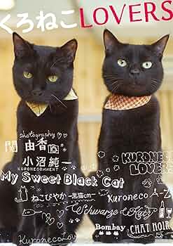 9153yiXfdfL._AC_UF350,