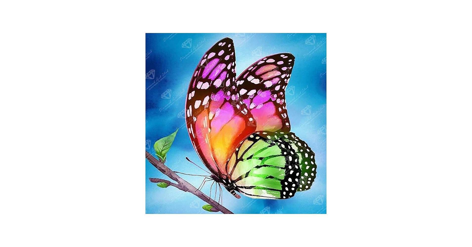 Amazon.com: DIAMOND ART CLUB Watercolor Butterfly Diamond Painting