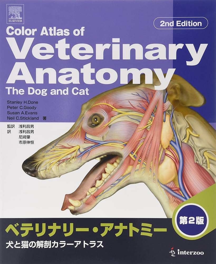 Amazon.co.jp: ベテリナリ-・アナトミ-: 犬と猫の解剖カラ-アトラス
