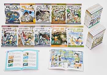 91-fIeIJYCL._AC_UF350,