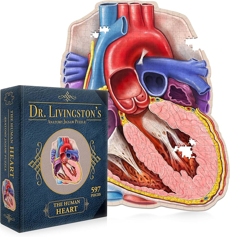 Amazon.com: Dr Livingston's Human Anatomy Organ Puzzle Bundle