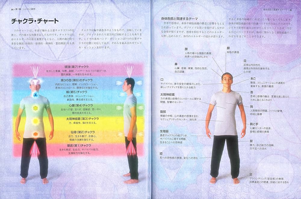 レイキと瞑想 (ガイアブックス) | タンマヤ ホナヴォグト, Honervogt