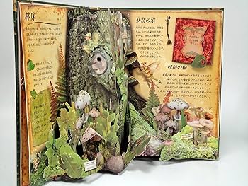 Amazon.co.jp: フラワ-・フェアリ-ズ(花の妖精たち)のお話 (とびだし