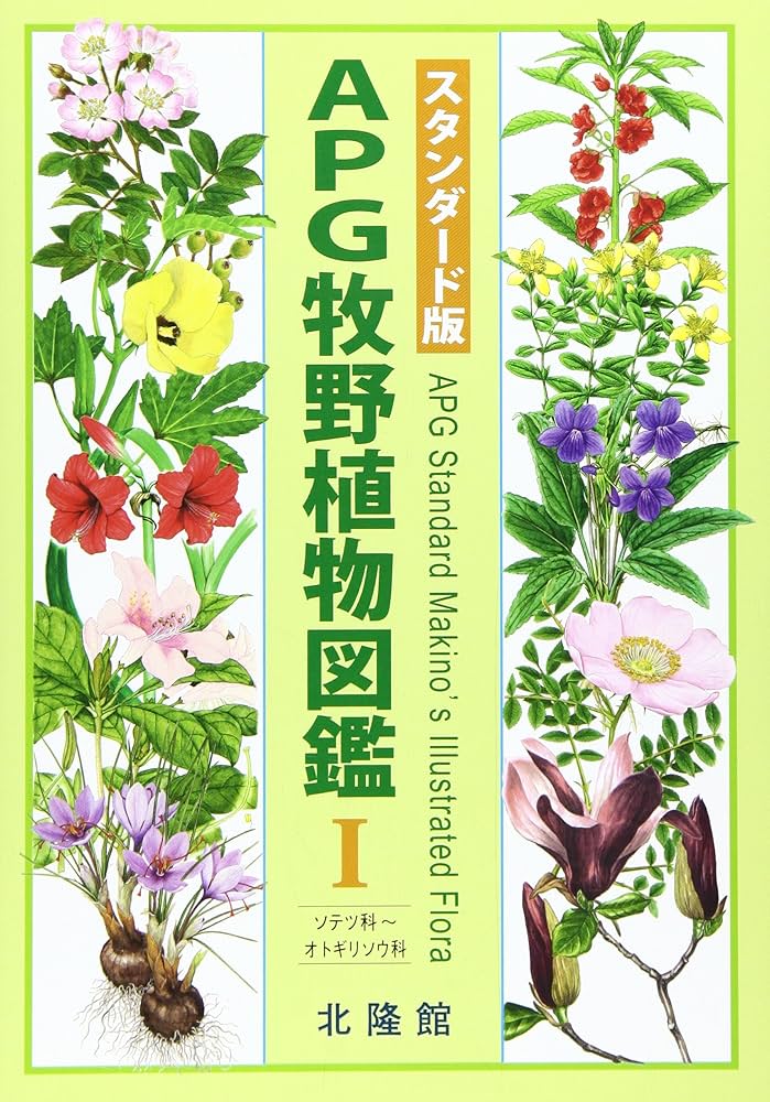 APG牧野植物図鑑 (1(ソテツ科~オトギリソウ科)) | 邑田仁 |本 | 通販