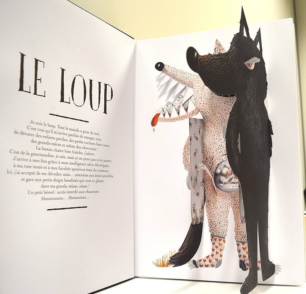 Amazon.com: À l'intérieur des méchants: 9791023507355: Perrin