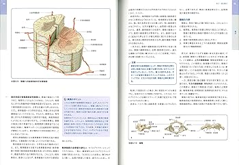 カイロプラクティック テクニック教本 ――理論と実践―― | ヘンリク