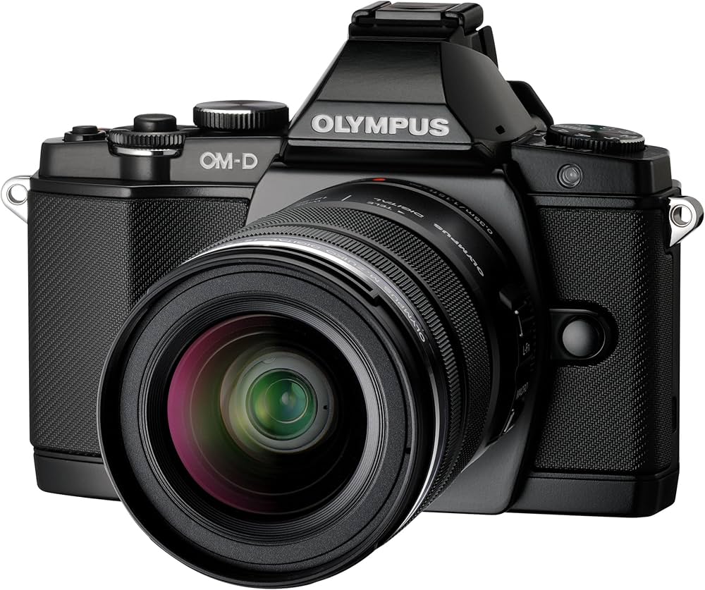 ポ*ン様 【ジャンク品】OLYMPUS OM-D E-M5 MarkII レンズ ポ*ン様