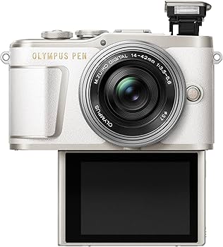 Amazon | OLYMPUS ミラーレス一眼 PEN E-PL9 ダブルズームキット