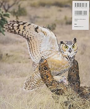 世界で一番美しいフクロウの図鑑 | マイク・アンウィン, デヴィッド