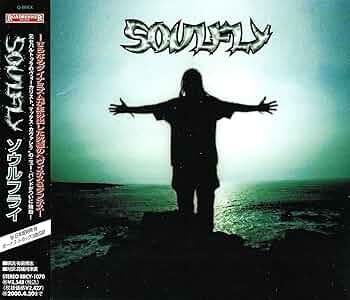Amazon.co.jp: ソウルフライ: ミュージック