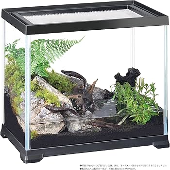 Amazon | エキゾテラ GEX EXOTERRA レプテリアブラック 300High 小型