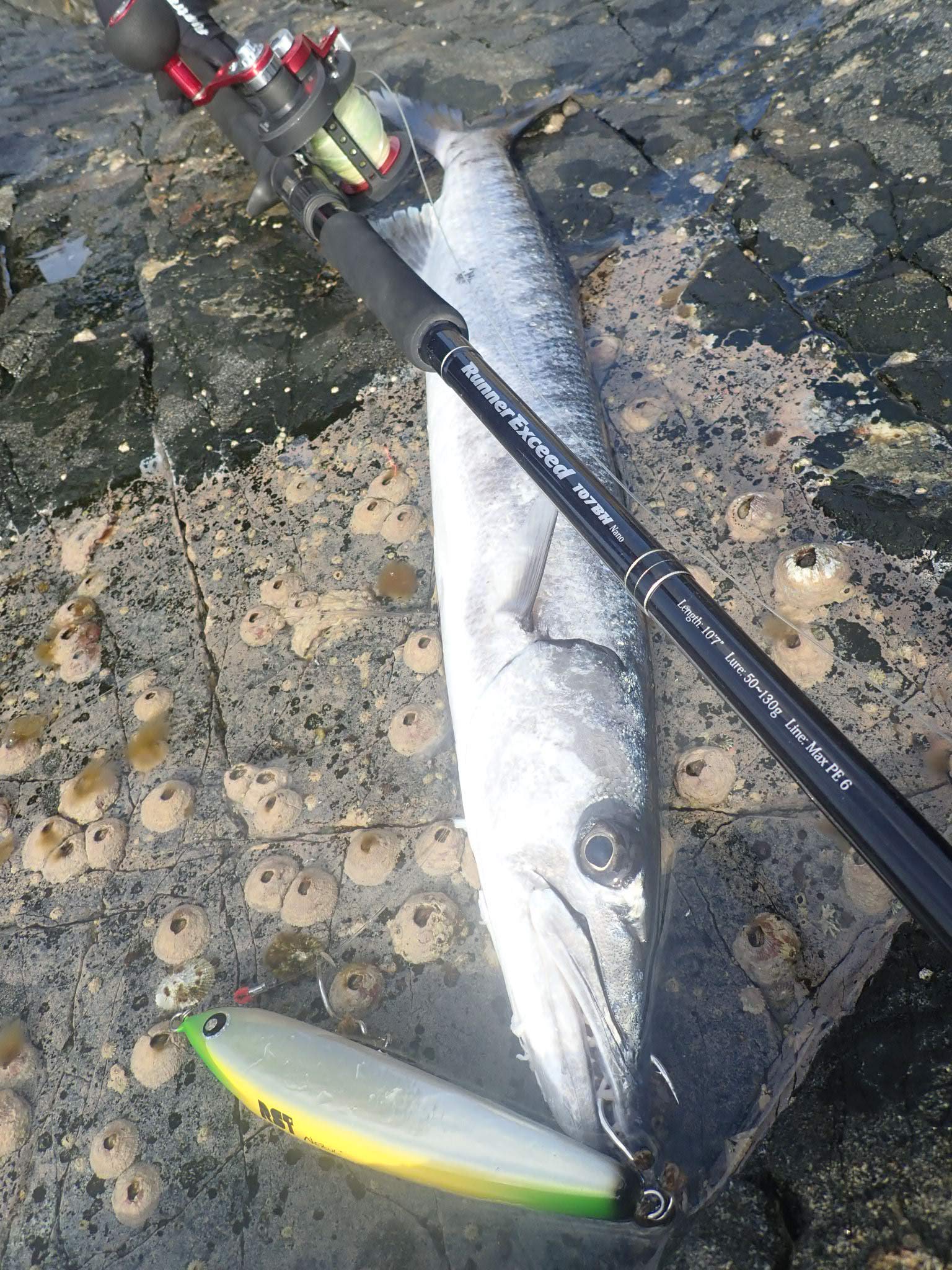 Amazon | RippleFisher RunnerExceed 103H/ リップルフィッシャー