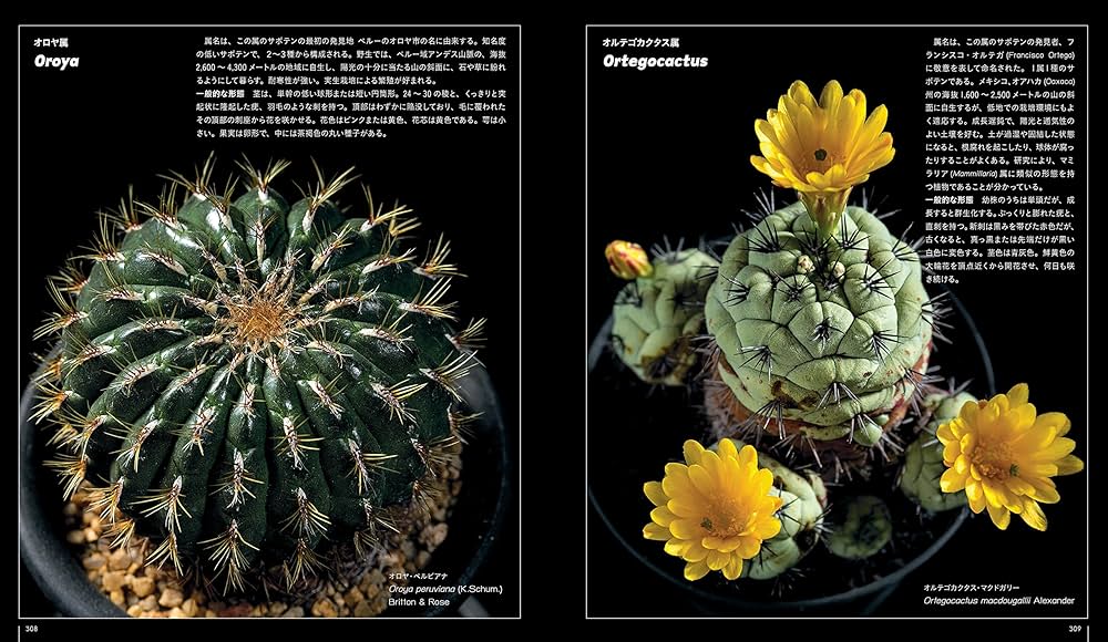 サボテン全書 All about CACTUS | パワポン・スパナンタナーノン, 飯島