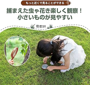 Amazon.co.jp: 昆虫採集セット 虫取り 虫かご 昆虫ネット 伸縮式ツール