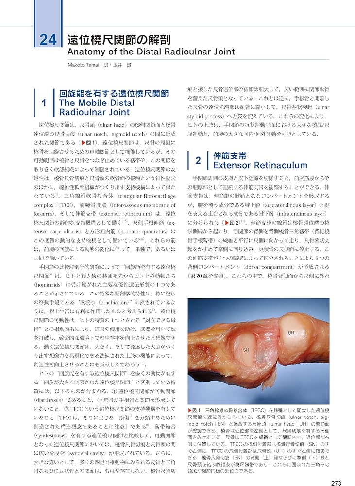 The Grasping Hand 日本語版(グラスピング・ハンド): 手・上肢の構造と