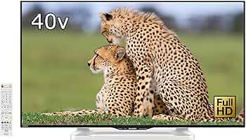 91FdZMVX9-L._AC_UF350,