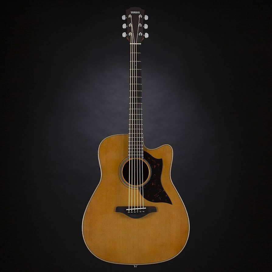 Amazon | ヤマハ YAMAHA エレアコギター A1R VN | エレアコギター