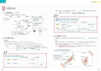 91GEhaoBW-L._AC_UF350,