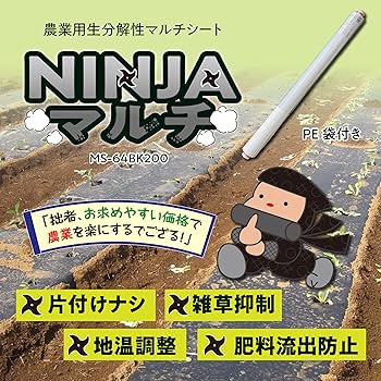 91GMAImr7vL._AC_UF350,