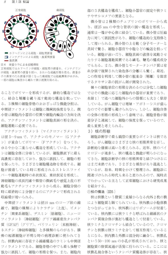 Amazon.co.jp: 実践細胞診テキスト 改訂版 ―初心者からエキスパート