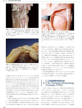 The Grasping Hand 日本語版(グラスピング・ハンド): 手・上肢の構造と