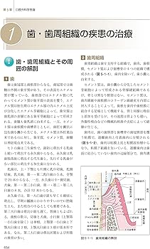 最新口腔外科学 第5版 Oral and Maxillofacial Surgery | 榎本 昭二