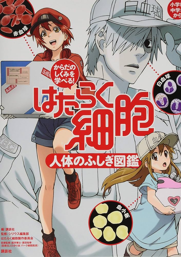 Amazon.com: からだのしくみを学べる! はたらく細胞 人体のふしぎ図鑑