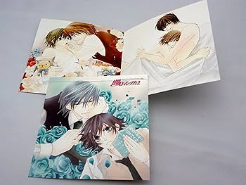 Amazon.co.jp: RUBY CD COLLECTION 純情ロマンチカ2: ミュージック