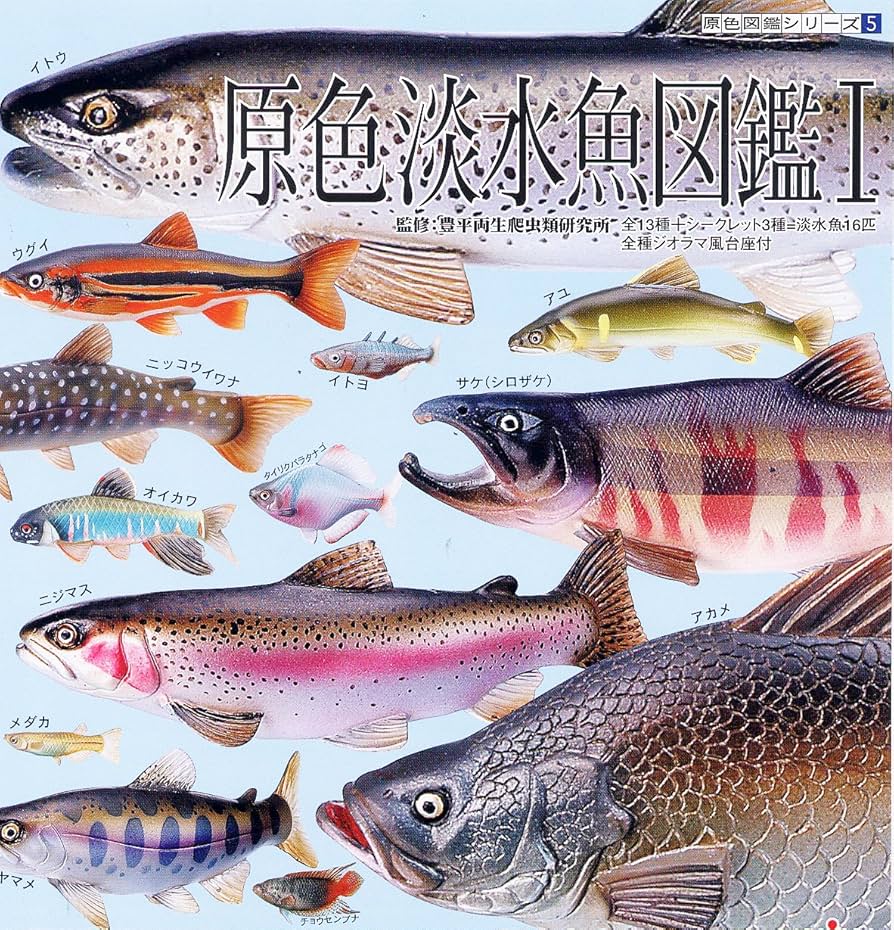 Amazon | 原色 淡水魚図鑑Ⅰ 再版 13種（シークレット3種なし・台座