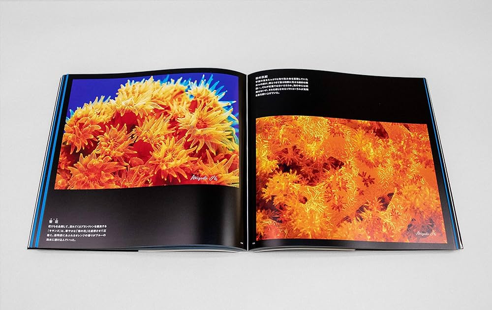 Amazon.co.jp: 伊東昭義 海・色彩と造形のきらめき : 伊東昭義