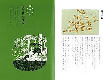 91Kn52iwCEL._AC_UF350,