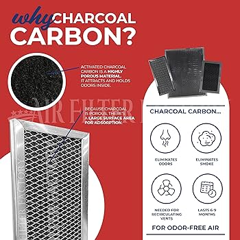 Amazon.com: Air Filter Factory Charocal Carbon Filter 4393791