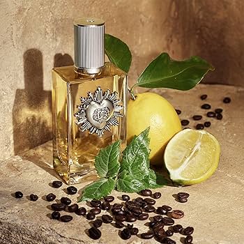 Amazon.com: Dolce&Gabbana Devotion, Eau De Parfum, For Men, 50ml