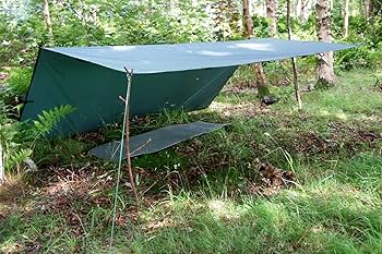 Amazon | DD Hammocks DD タープ 3×3 (コヨーテブラウン) | SPRING