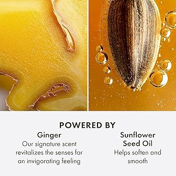 Amazon.com: Origins Ginger Hand & Body Lotion for Dry Skin