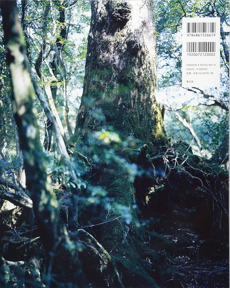 Amazon.co.jp: 上田義彦写真集 FOREST ー 印象と記憶 1989-2017 : 上田