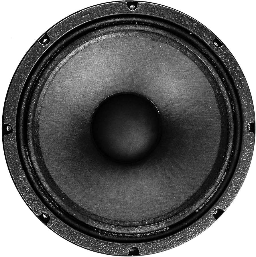 Amazon.co.jp: Alphasonik 12インチ フラッグシップシリーズ 1000