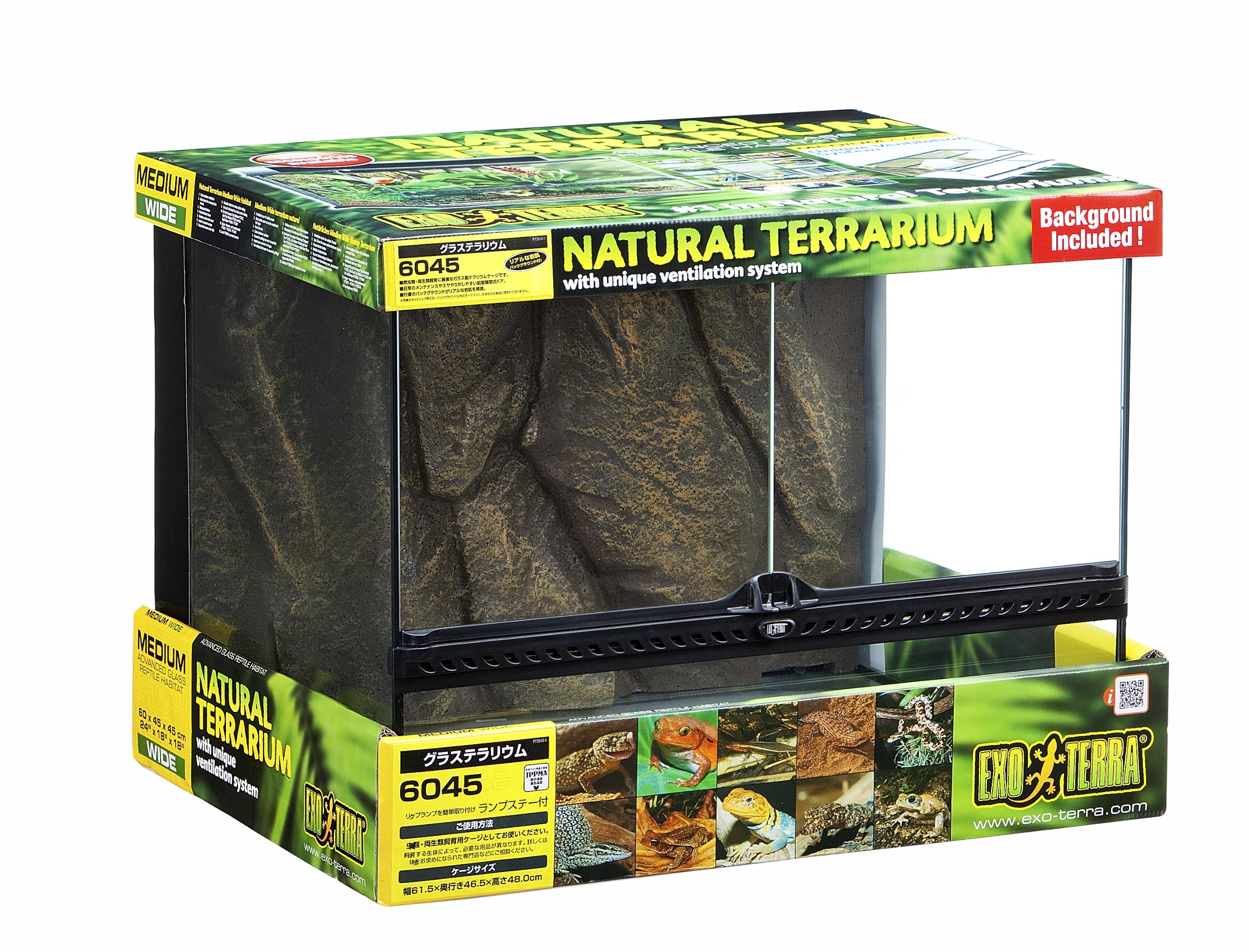 Amazon | エキゾテラ GEX EXOTERRA グラステラリウム 6045 PT2610