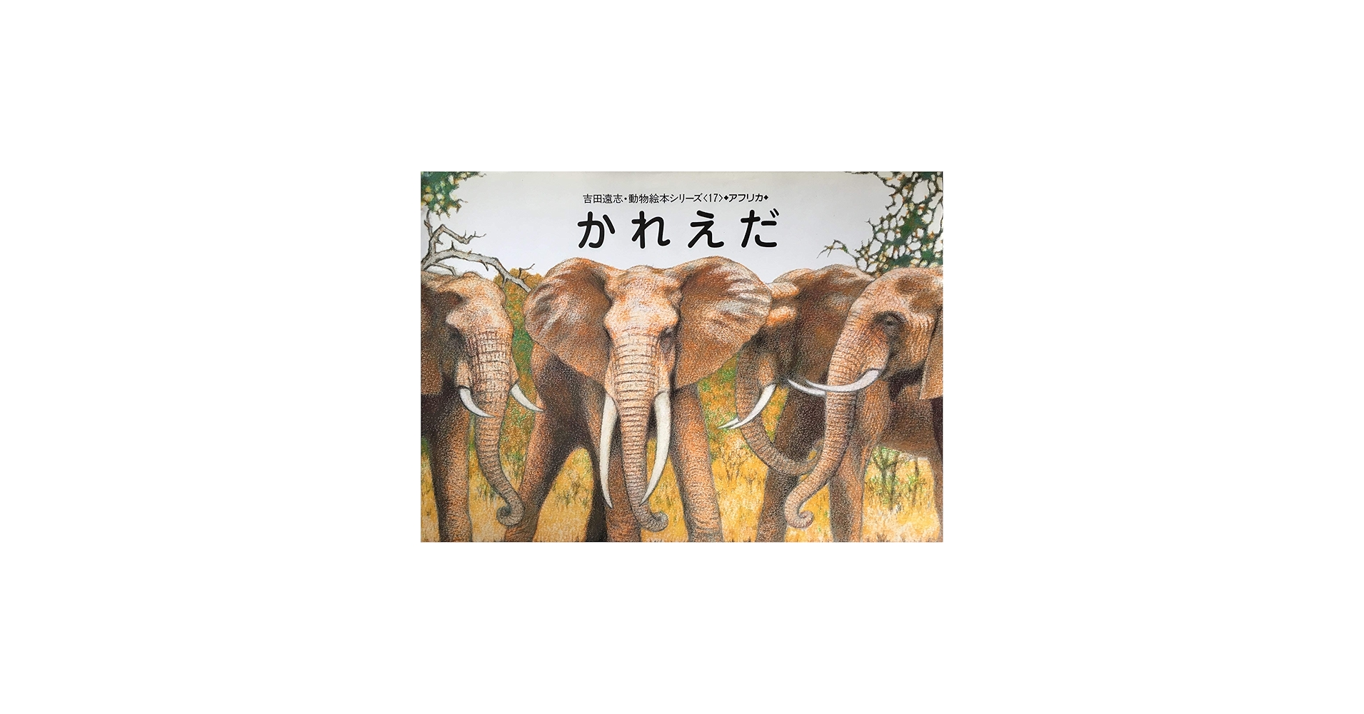 Amazon.co.jp: かれえだ (吉田遠志・動物絵本シリーズ 17 アフリカ