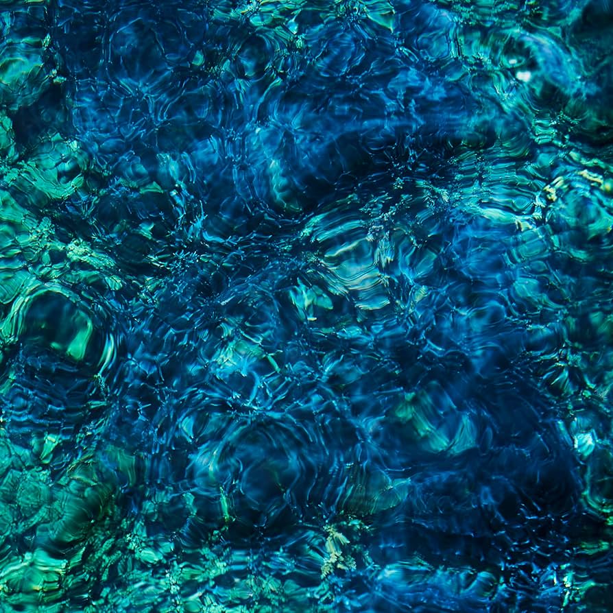 Amazon.co.jp: Luminescent Creatures: ミュージック