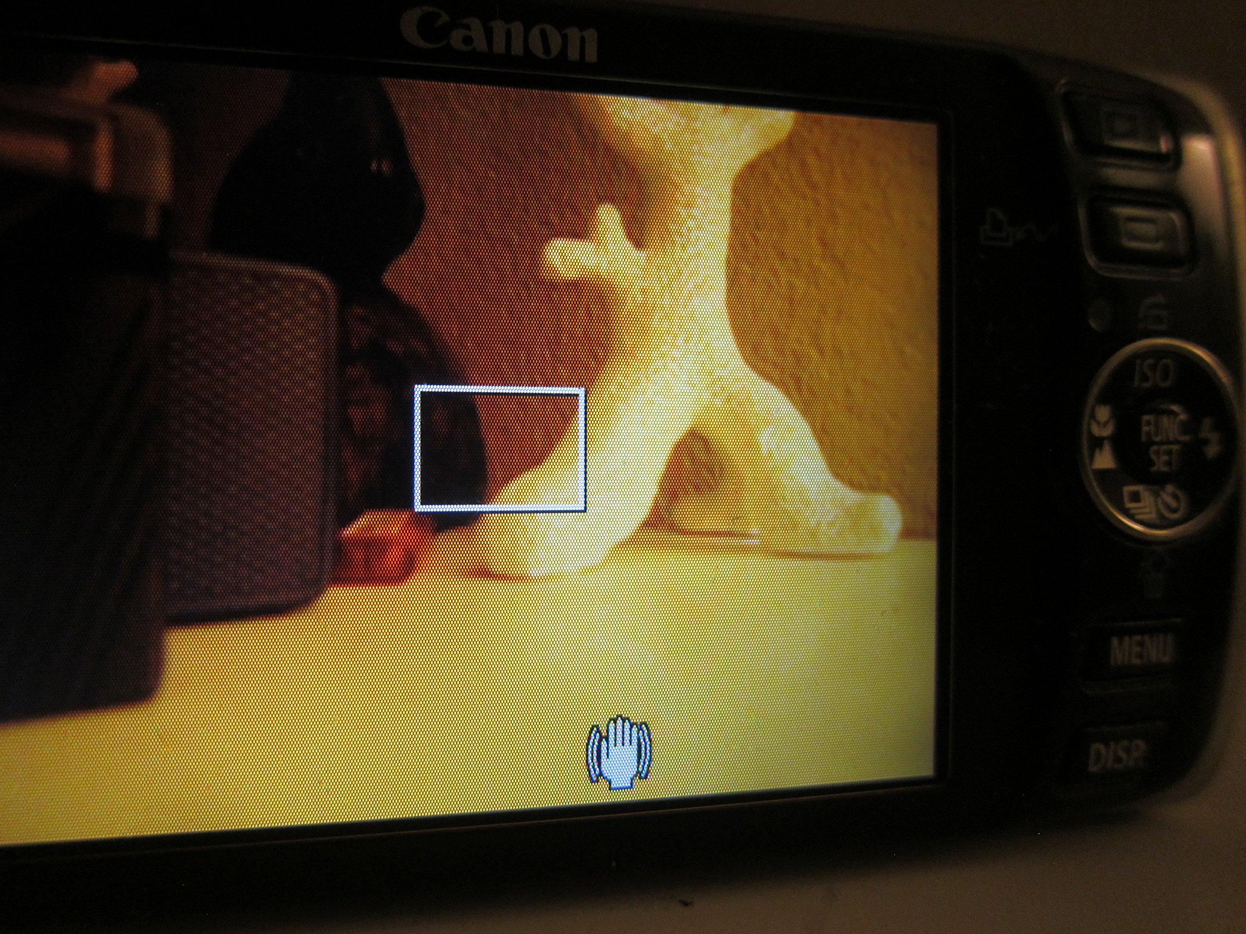 Amazon.com : Canon PowerShot SD870IS 8MP Digital Camera with 3.8x